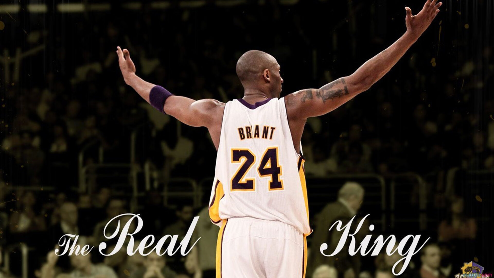 -关于罗德里赛后谦逊发言登热搜，洛杉矶湖人小胜迈阿密热火引发热议的信息